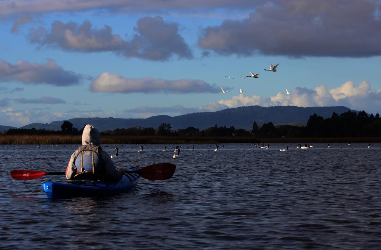 Casa Rio Vivo Villa Valdivia Kültér fotó