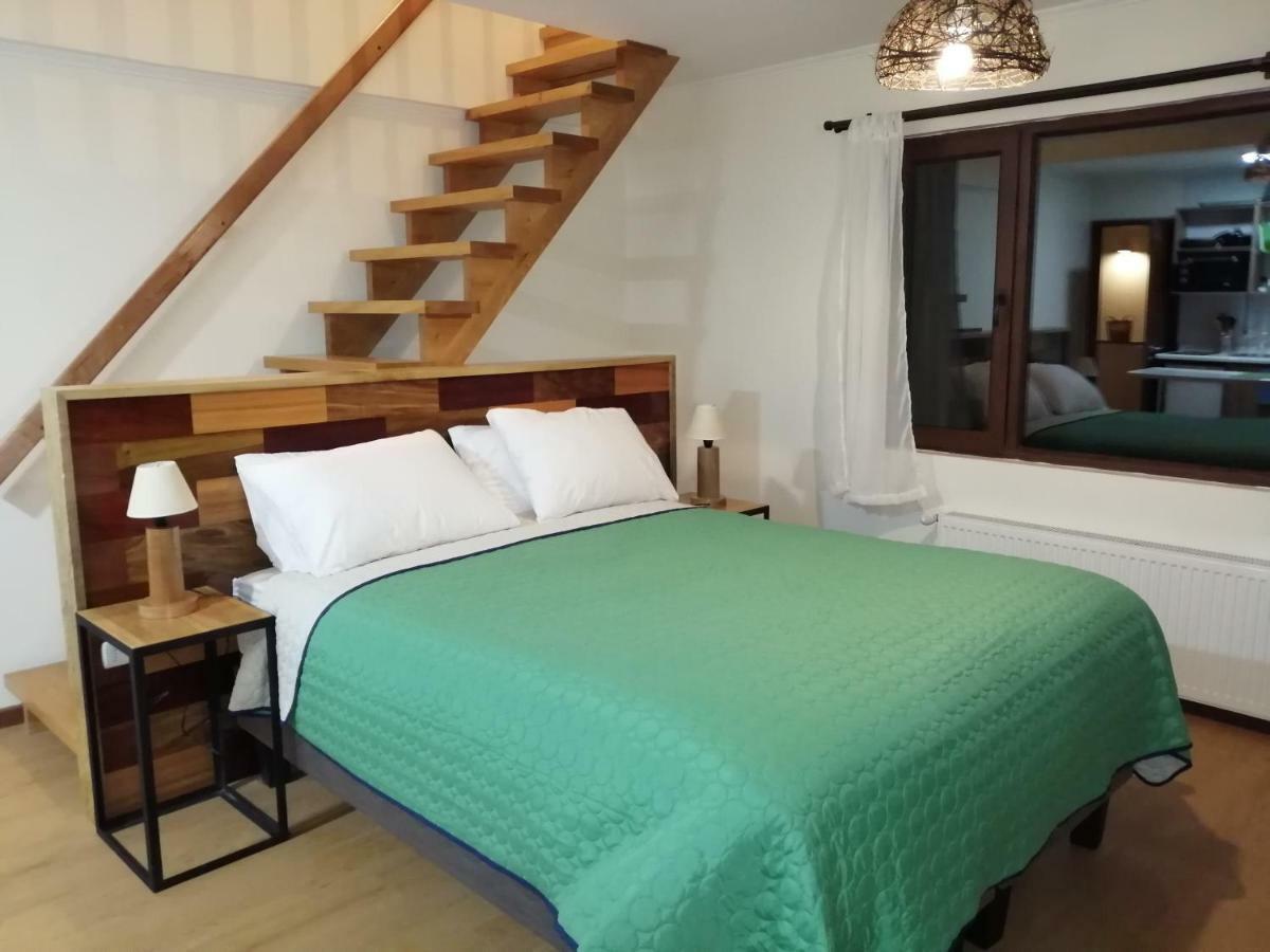 Casa Rio Vivo Villa Valdivia Kültér fotó